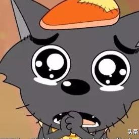 狼族最新生态进化与保护现状解析