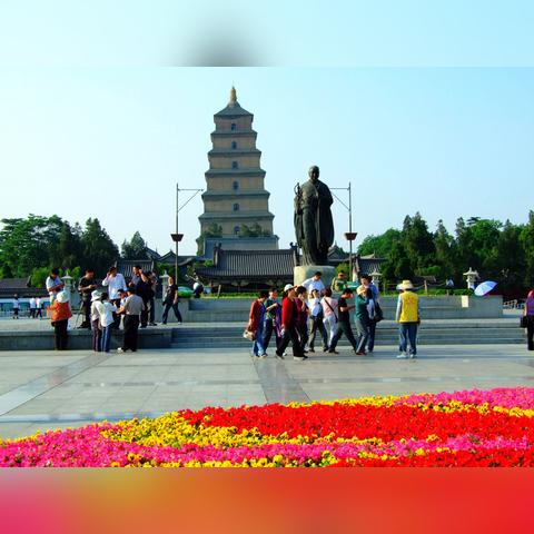 最新建筑图集概览,现代建筑趋势与创新风采