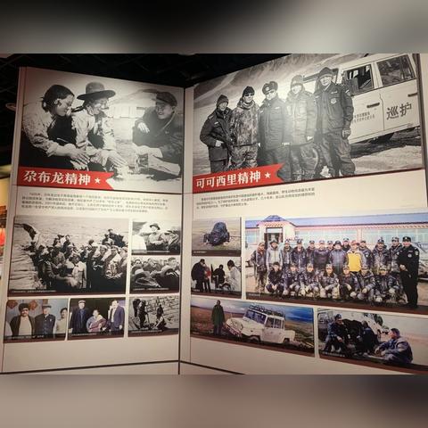 大团结最新目录概览全解析