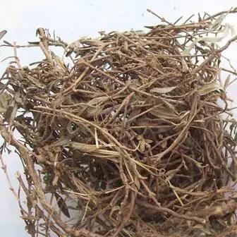 最新肝病药物研究进展及临床应用概述