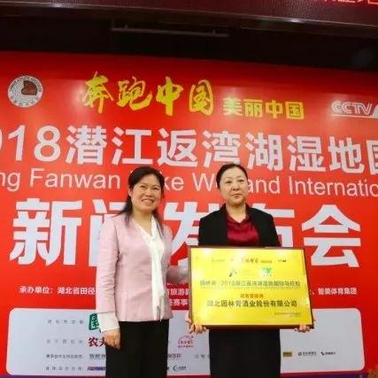 中潜股份最新深度报道消息速递